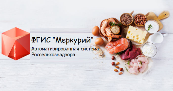 Фото ФГИС МЕРКУРИЙ для пользователей GESTORI Pro На фото изображен ФГИС МЕРКУРИЙ для пользователей GESTORI Pro