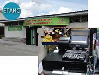 На фото изображен ЛОТОС, продуктовый магазин (г.Бор, Нижегородская обл.)