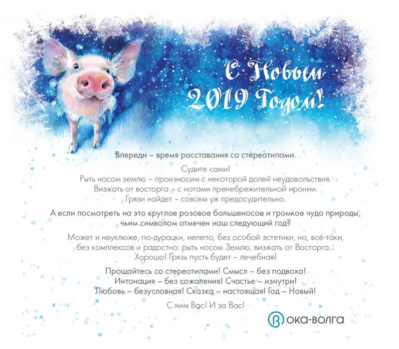 На фото изображен С НОВЫМ 2019 ГОДОМ!